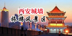 内射馒头网站中国陕西-西安城墙旅游风景区