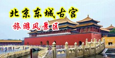 骚护士的小淫水中国北京-东城古宫旅游风景区